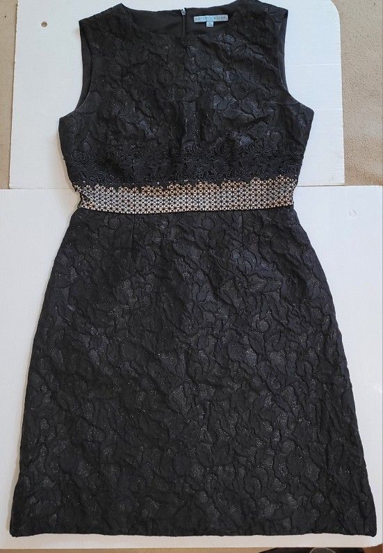 Antonio Melani Edna Black Lace Sleeveless A-line Zip Back Dress Size-8