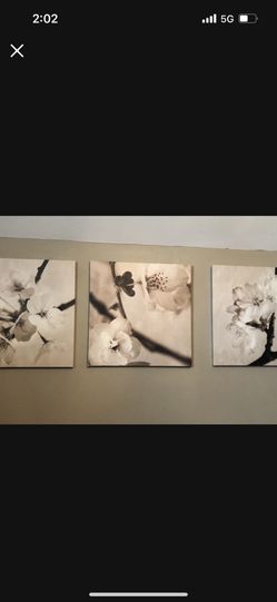 Canvas Pictures Set Of 3