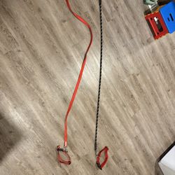 Dog Leash