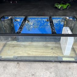 Fish Tank!