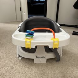 ingenuity booster seat