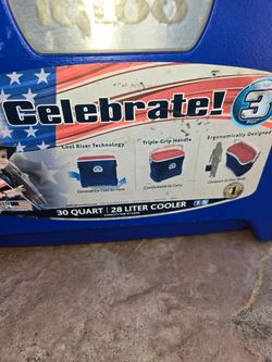Ice cooler box