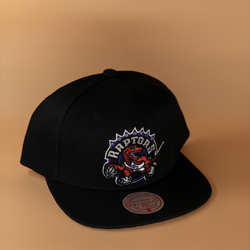 Toronto Raptors Cap