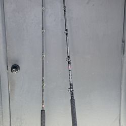 Penn Ally ll West Coast Fishing Rod 