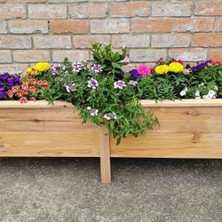 Cedar Planter Box
