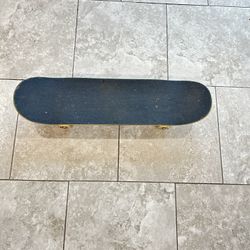 Skateboard, W : 8.25 x L: 31.75