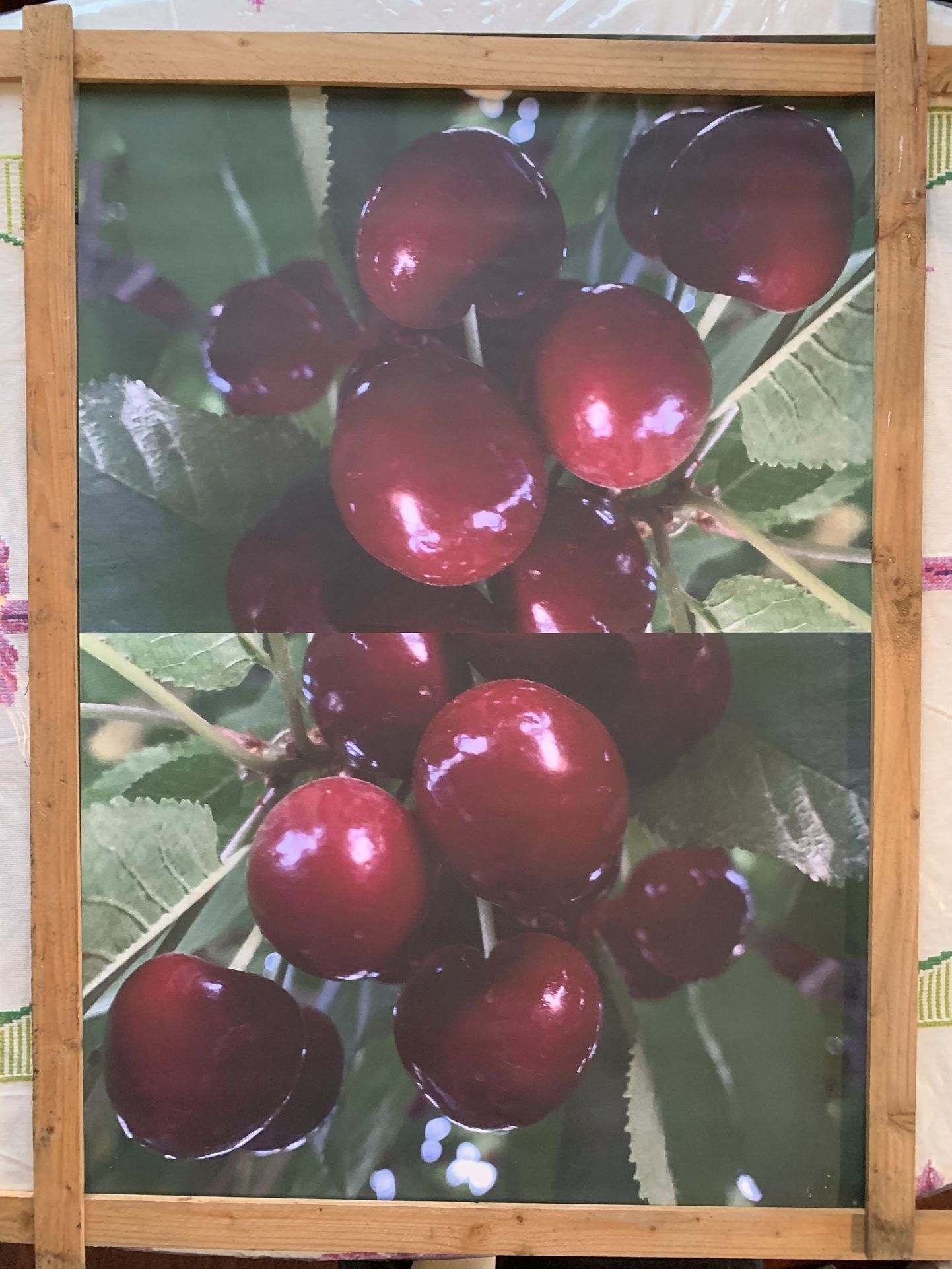 Frameless Wall Piece 24 in./18 in. Cherries
