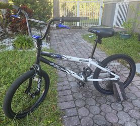 20 Inch Bike