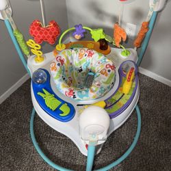 Baby Bouncer 