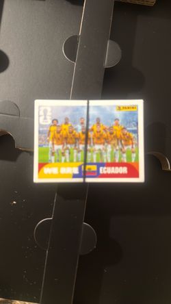 Panini stickers