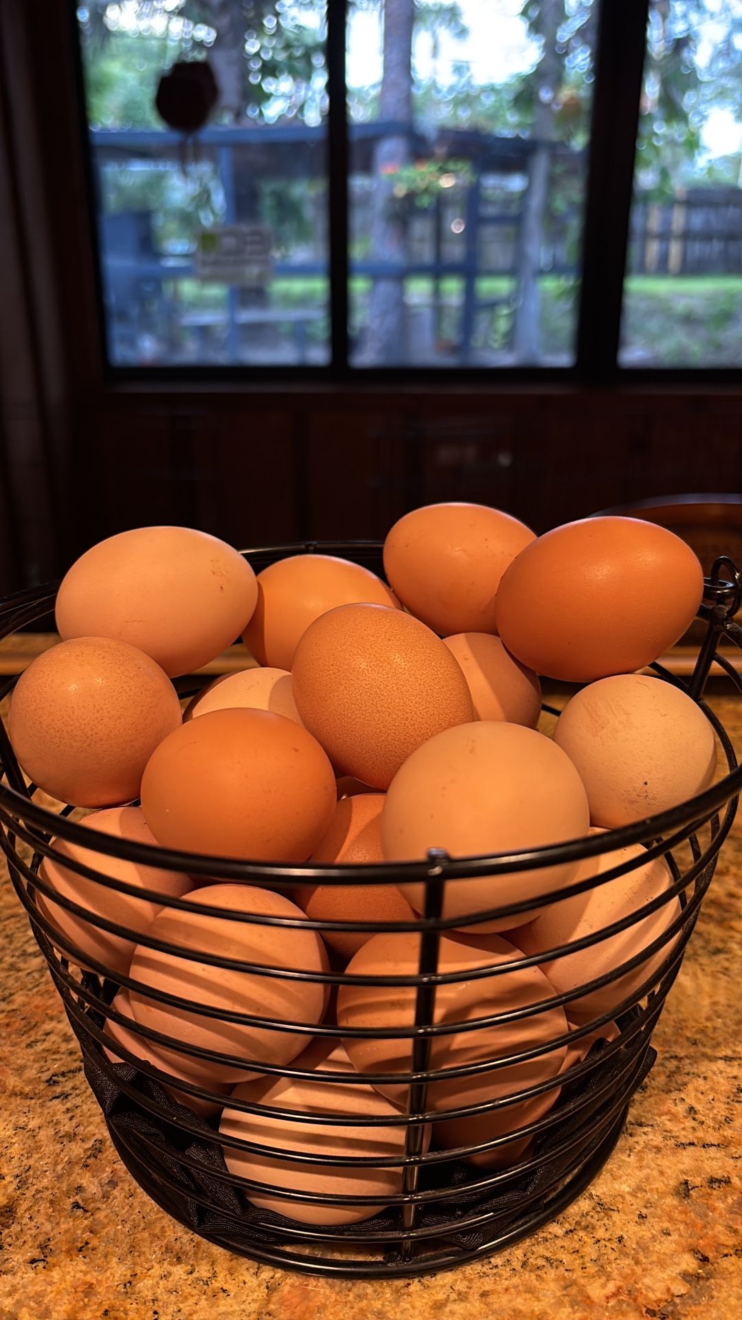 Pasture-raised Chicken Eggs