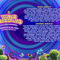 Beyond Wonderland Saturday Wristband