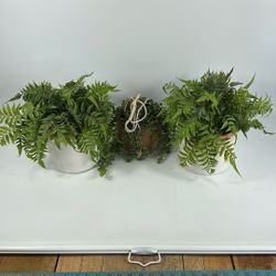 Faux Plants Succulents