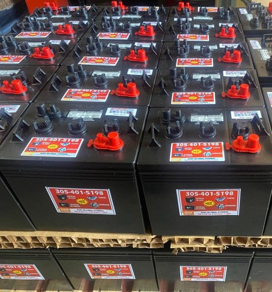 From the group-6volt new battery, with 1 year warranty.