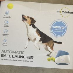 Ball Launcher