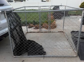 Outdoor dog kennel