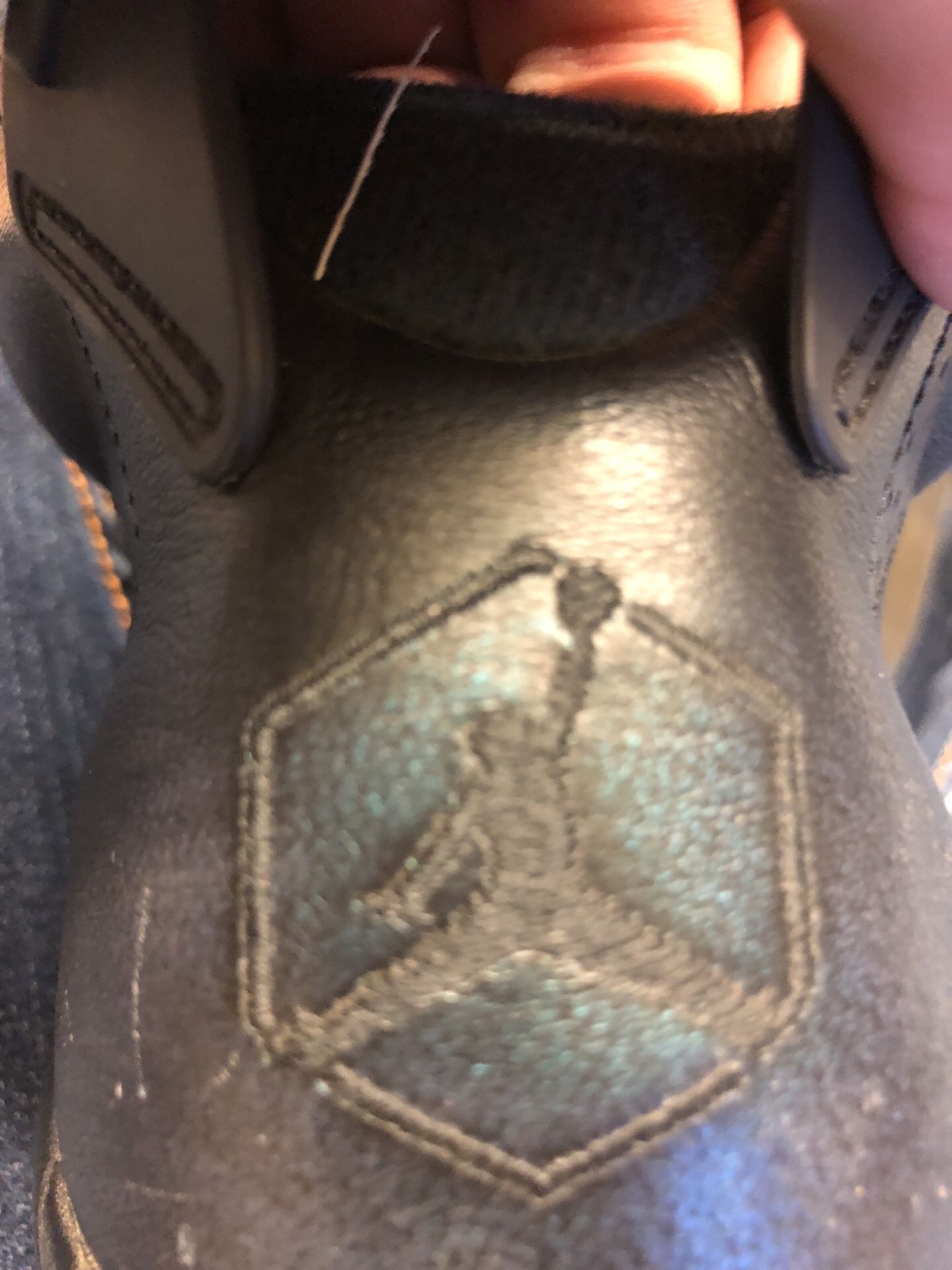 Jordan 6s