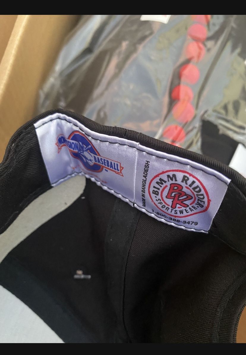 Vintage Snap Back Lot Of 48 Delaware Shorebirds 90s 