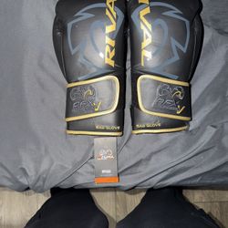 Rival RFX GUERRERO bag Glove Black And Gold 