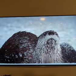 Samsung 55inch HD Smart TV