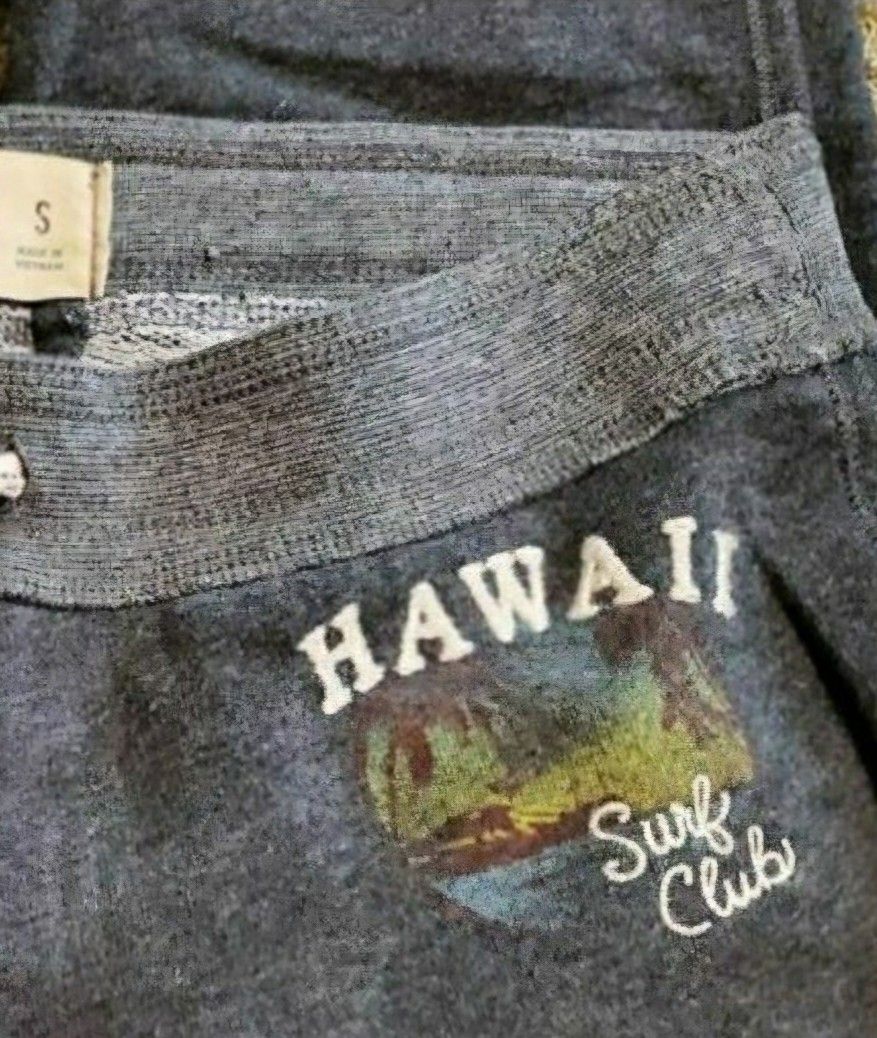 Hollister Small Gray Women's Sweat Pants