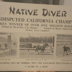 Rare Poster Advertising Native DIVER Winner In 1965/66/67 Of A California Gold Cup