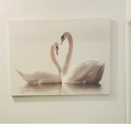 Beautiful large romantic Two swans canvas