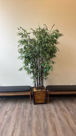 Faux Bamboo Tree
