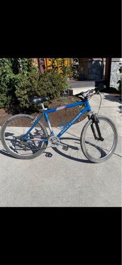 Gary Fisher Adult Mountain Bike