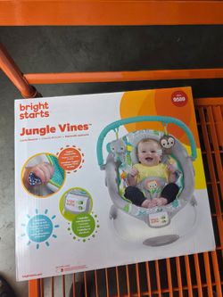Bright Starts Comfy Baby Bouncer Soothing Vibrations Infant Seat