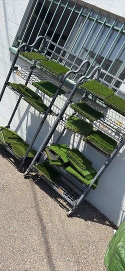 Artificial Grass - Sacate Sintetico Turf