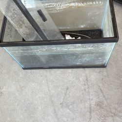 10  Gallon Tank