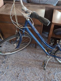 Blue Giant Cypress Bike