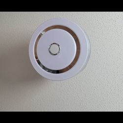 Dr.  Light 42 Inch Ceiling Fan With Bluetooth Speaker