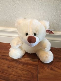 New Teddy Bear Light Color