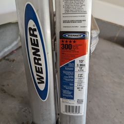 14 Ft Werner Ladder