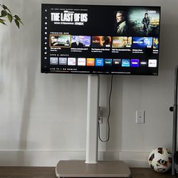 FREE TV STAND  + 43 Inch Vizio TV $225