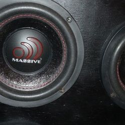 6.5 Subwoofer 