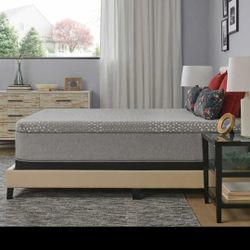 New Sealy Queen  Mattress 