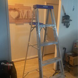 Ladder Steel, 6 Foot Tall