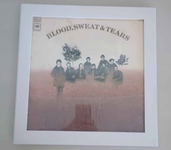Display & Play Record Frame