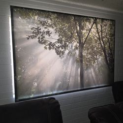 Paintings And Pictures 