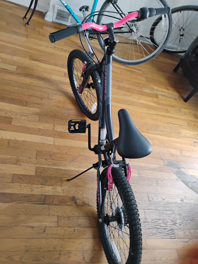 Kobra brand 20" rim girl's bicycle