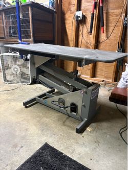 Hydraulic groom table