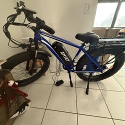 Mountain Bike Electric (AMYET)