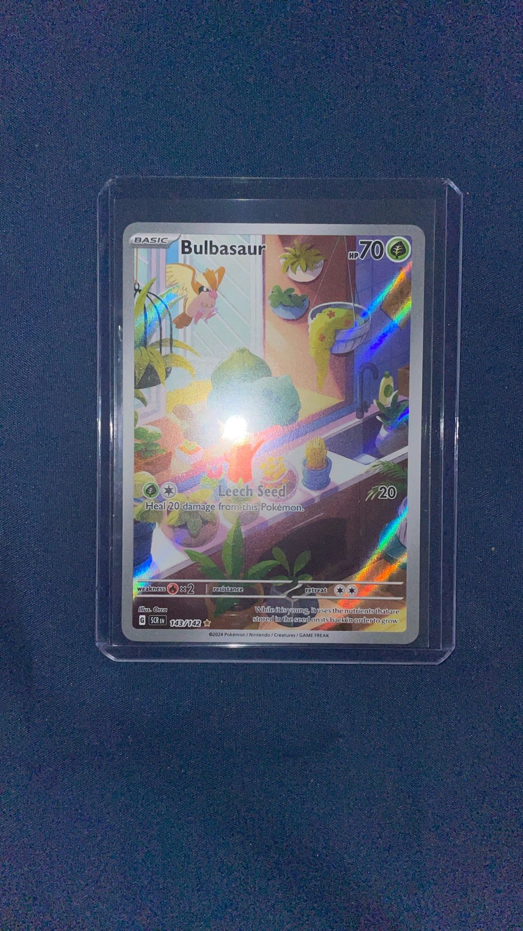 Shoot A Offer This Card Is A 10 !!!
