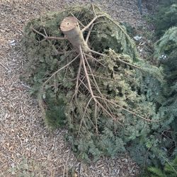 $5 Fire Wood (Bulk Discount) 