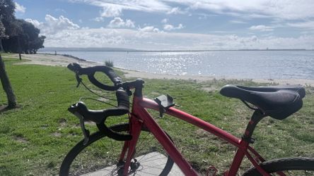 Specialized diverge