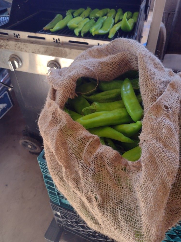 Hatch New Mexico Green Chile Hot X Hot XXX Hot