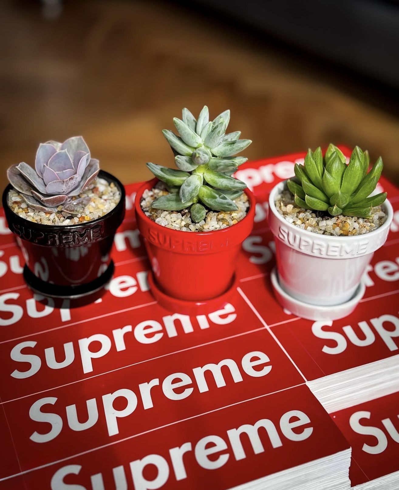 Supreme Mini Planters Set Of 3